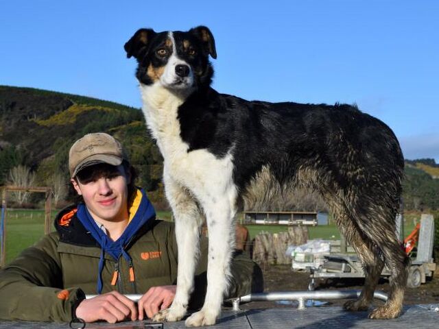 Programme Starting to Grow in Otago